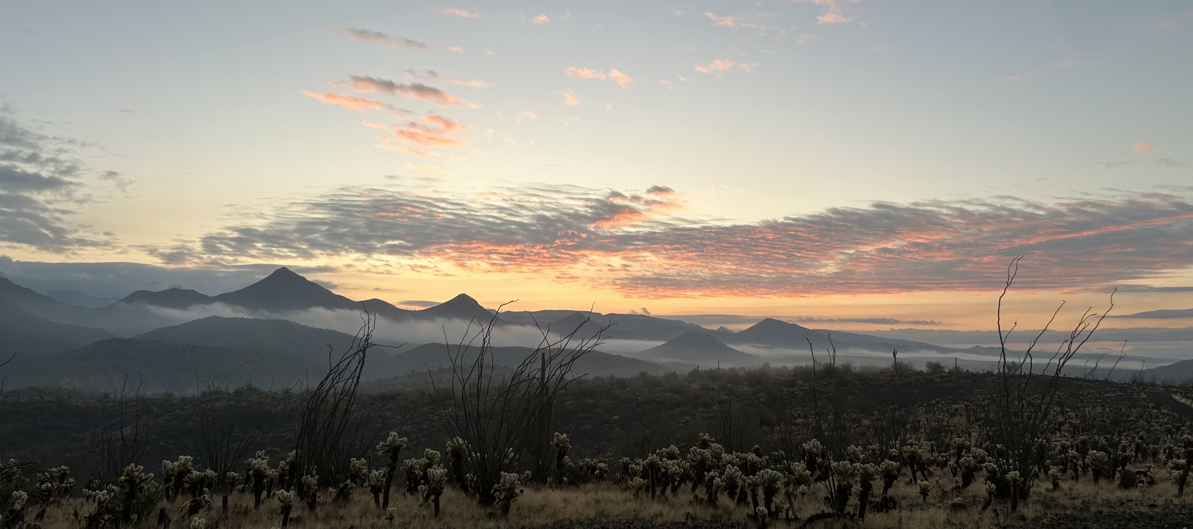 Sunrise in Tonto National Forest, AZ.