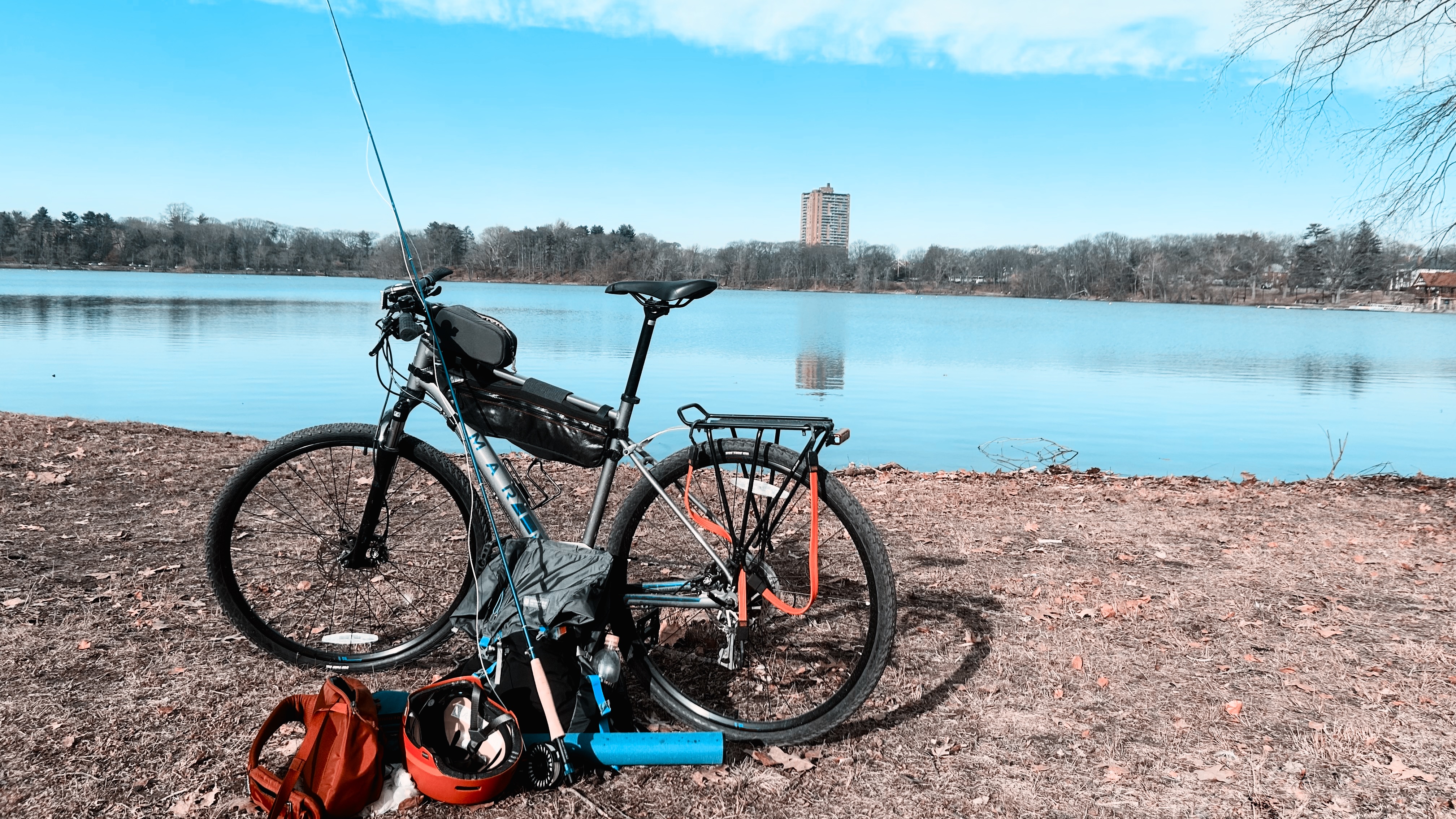 Jamaica Pond on a rare warm day in February.