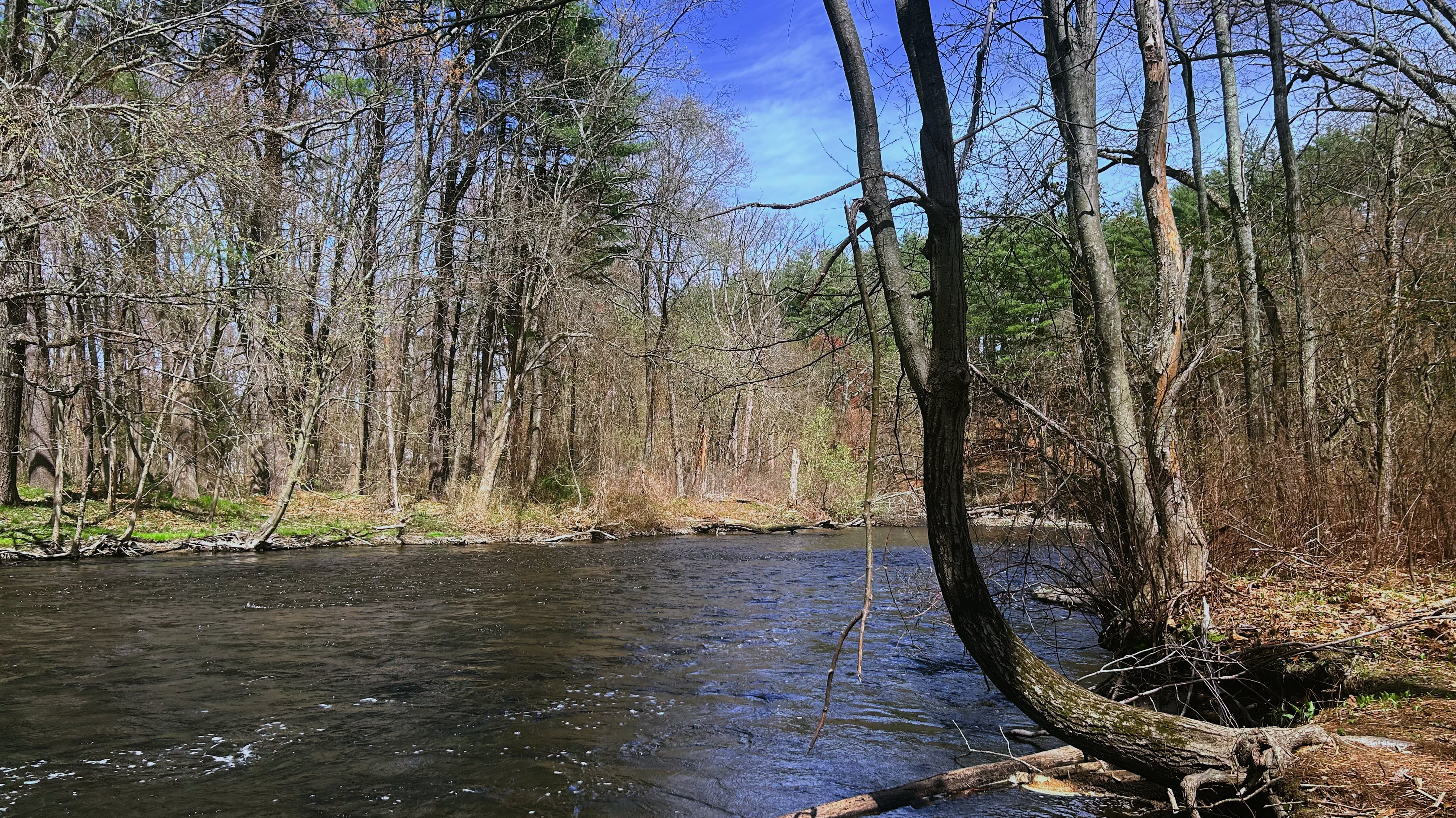 A perfect spring day along the Assabet River.