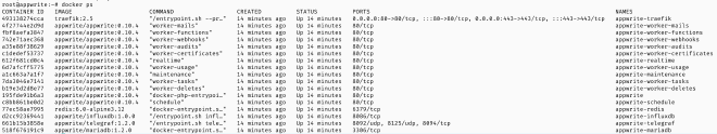 docker ps output