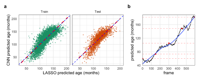 Figure 3. Evidence for embedding of age in the GAN’s latent input space.